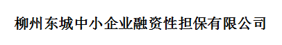 柳州東城中小企業(yè)融資性擔(dān)保有限公司